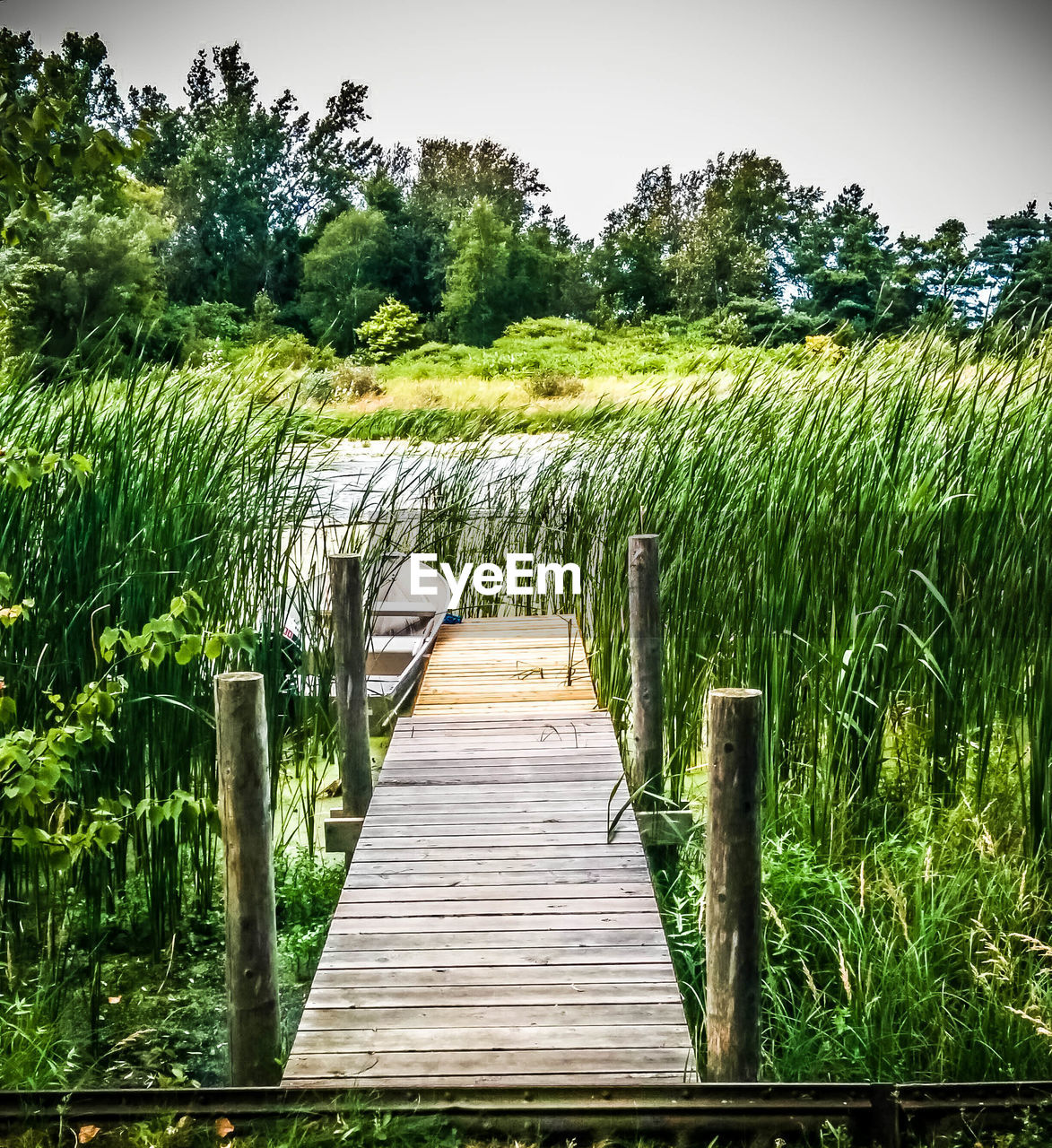 VIEW OF WOODEN FIELD