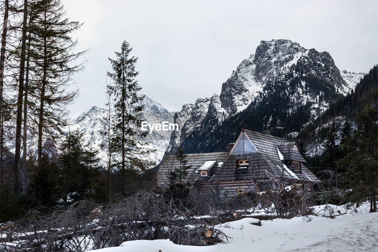 SCENIC VIEW OF SNOW COVERED TREES AND HOUSES AGAINST SKY