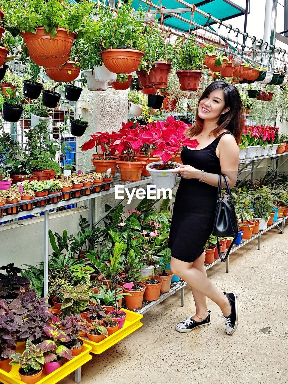 Full length portrait of woman holding potted plant at market stall