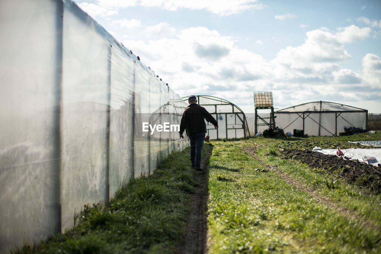 Man walking in farm against sky