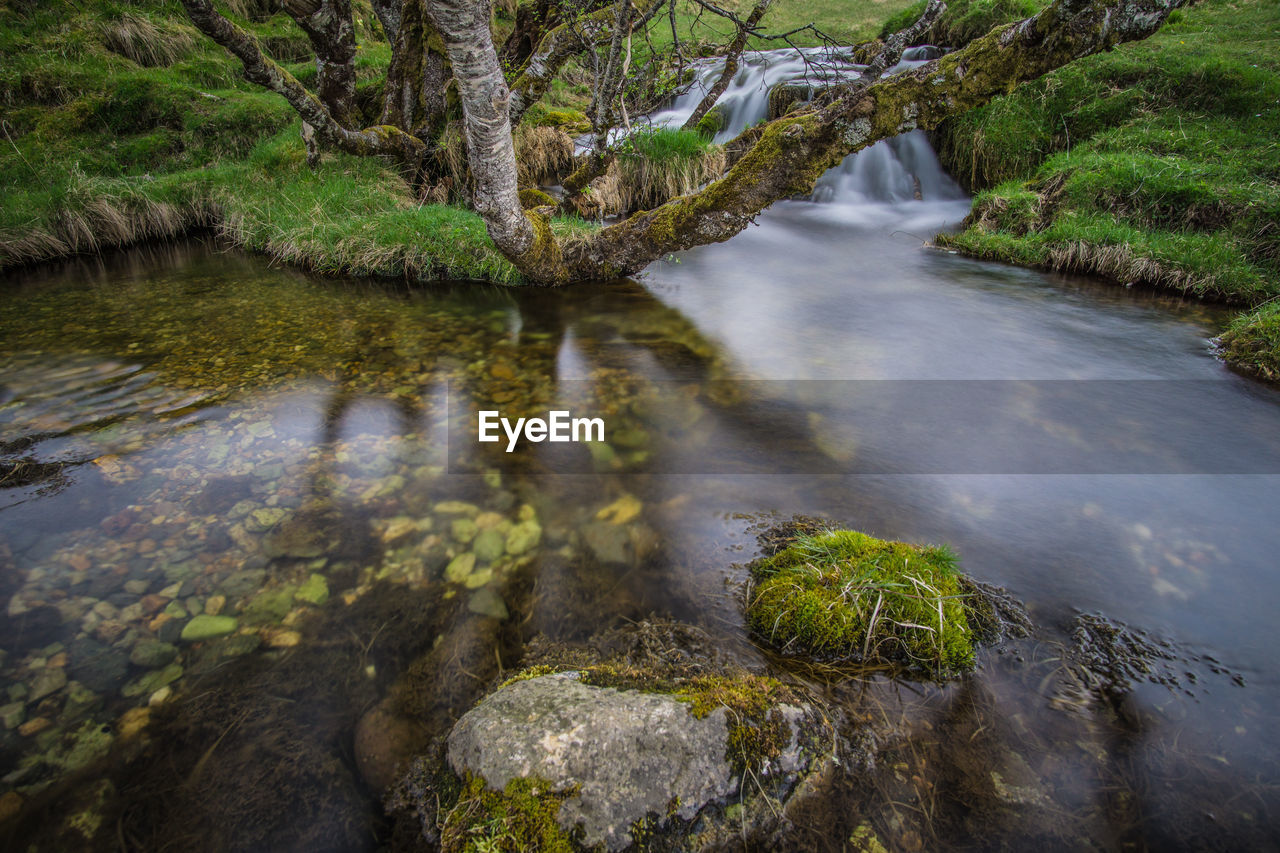 Stream flowing through rocks in forest