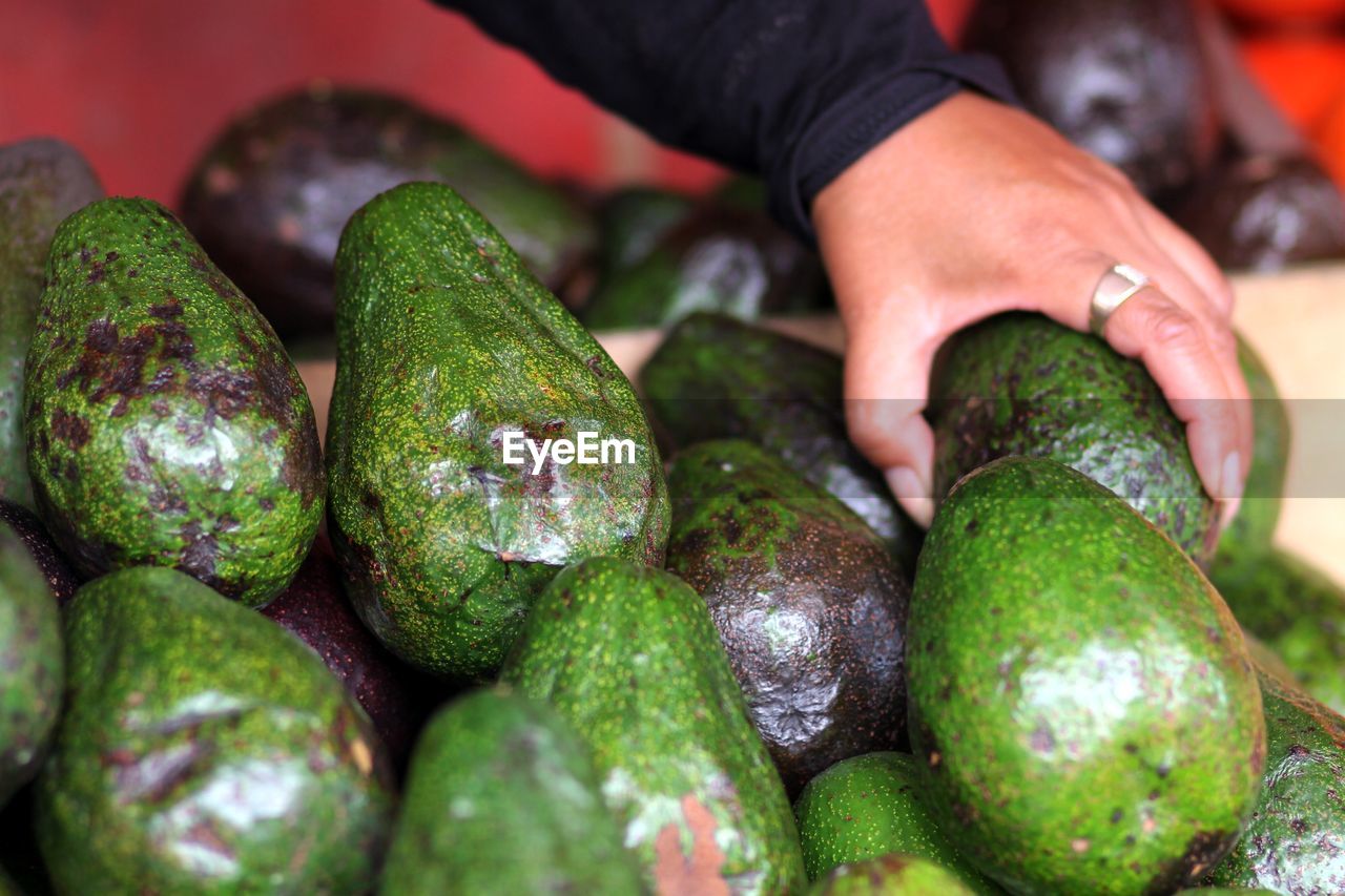 Fruit market, avocado