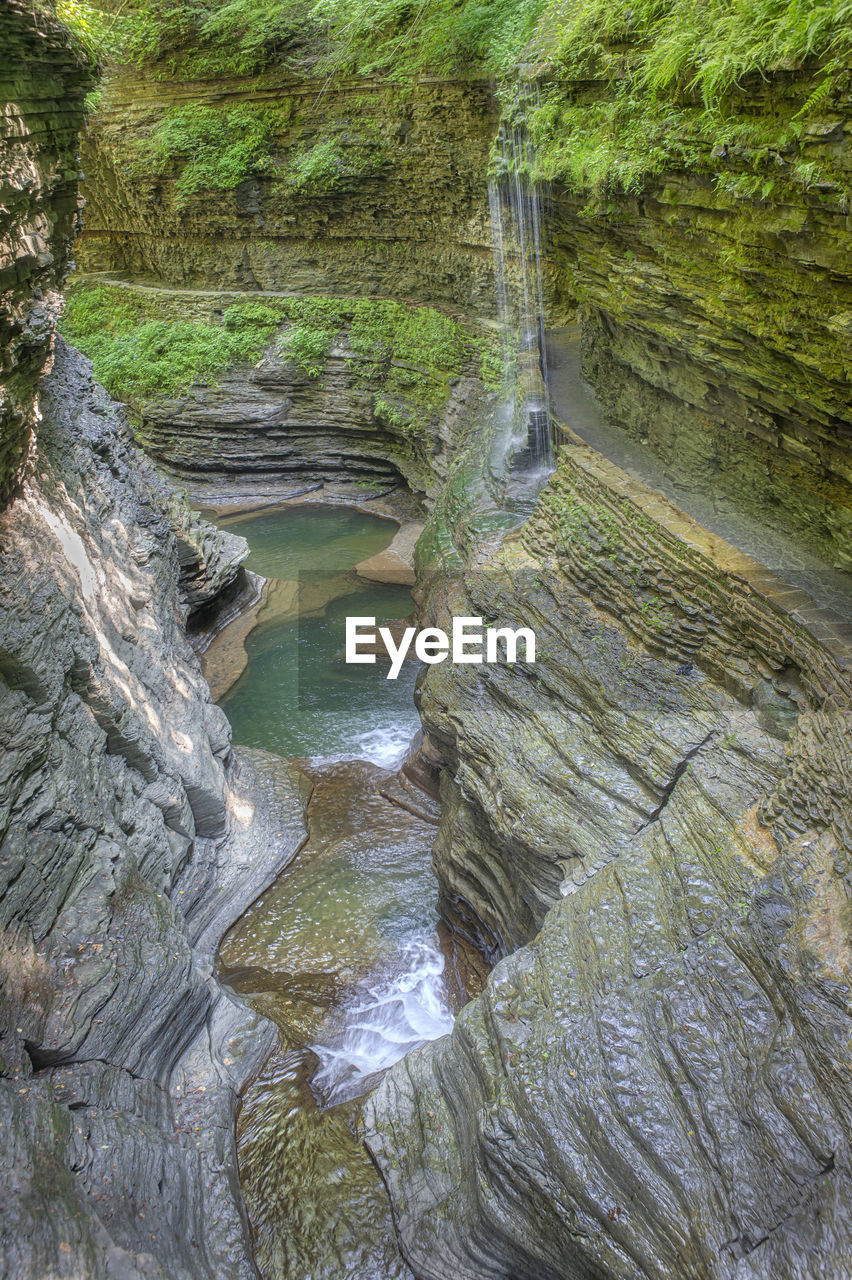 Scenic view of waterfall in forest , watkins glen state park, new york usa