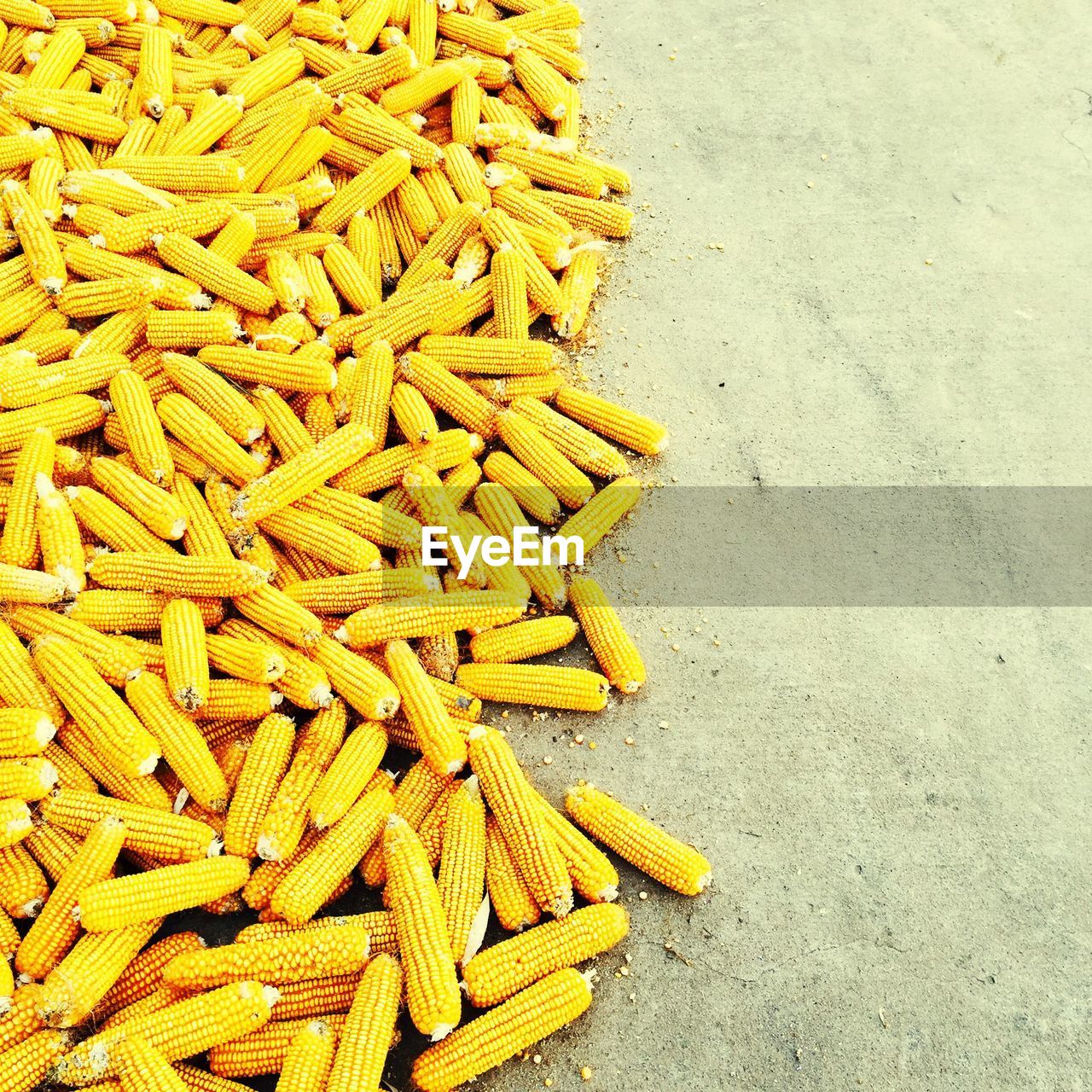 Close-up of corns on floor