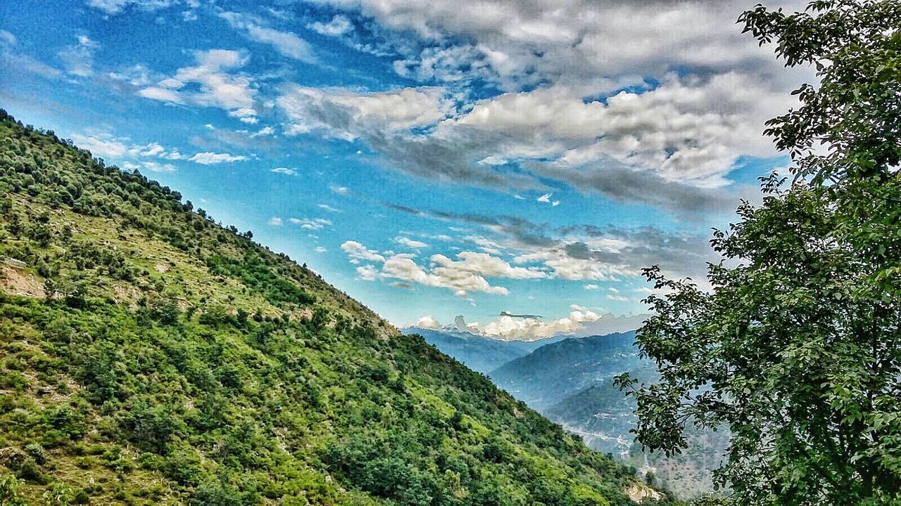 SCENIC VIEW OF TREE MOUNTAINS AGAINST SKY