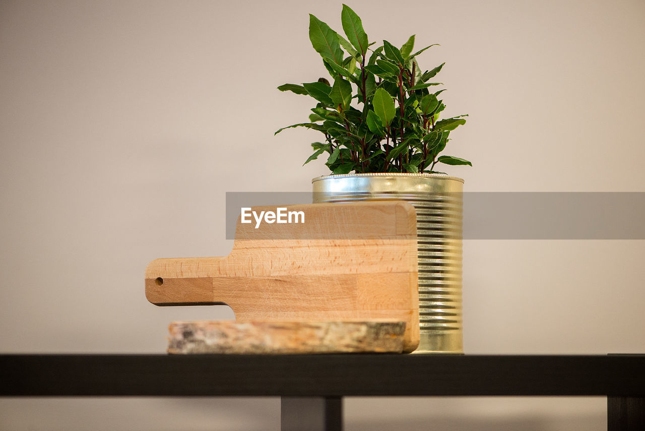 Serving board by plant in metallic can on shelf against wall