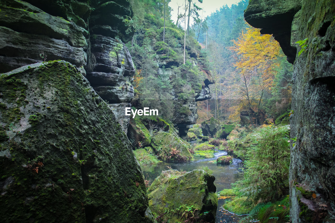 SCENIC VIEW OF WATERFALL