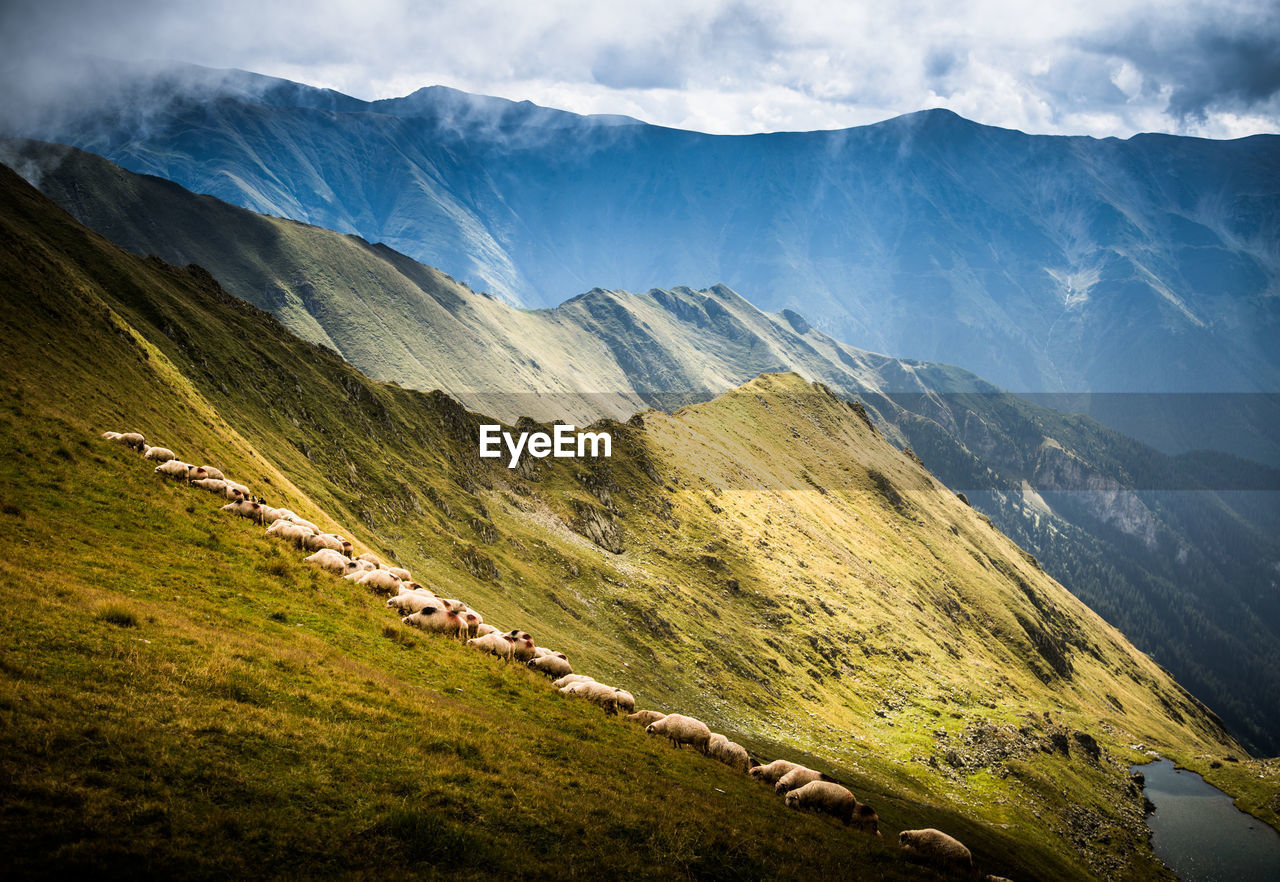 SCENIC VIEW OF LANDSCAPE AND MOUNTAINS AGAINST SKY