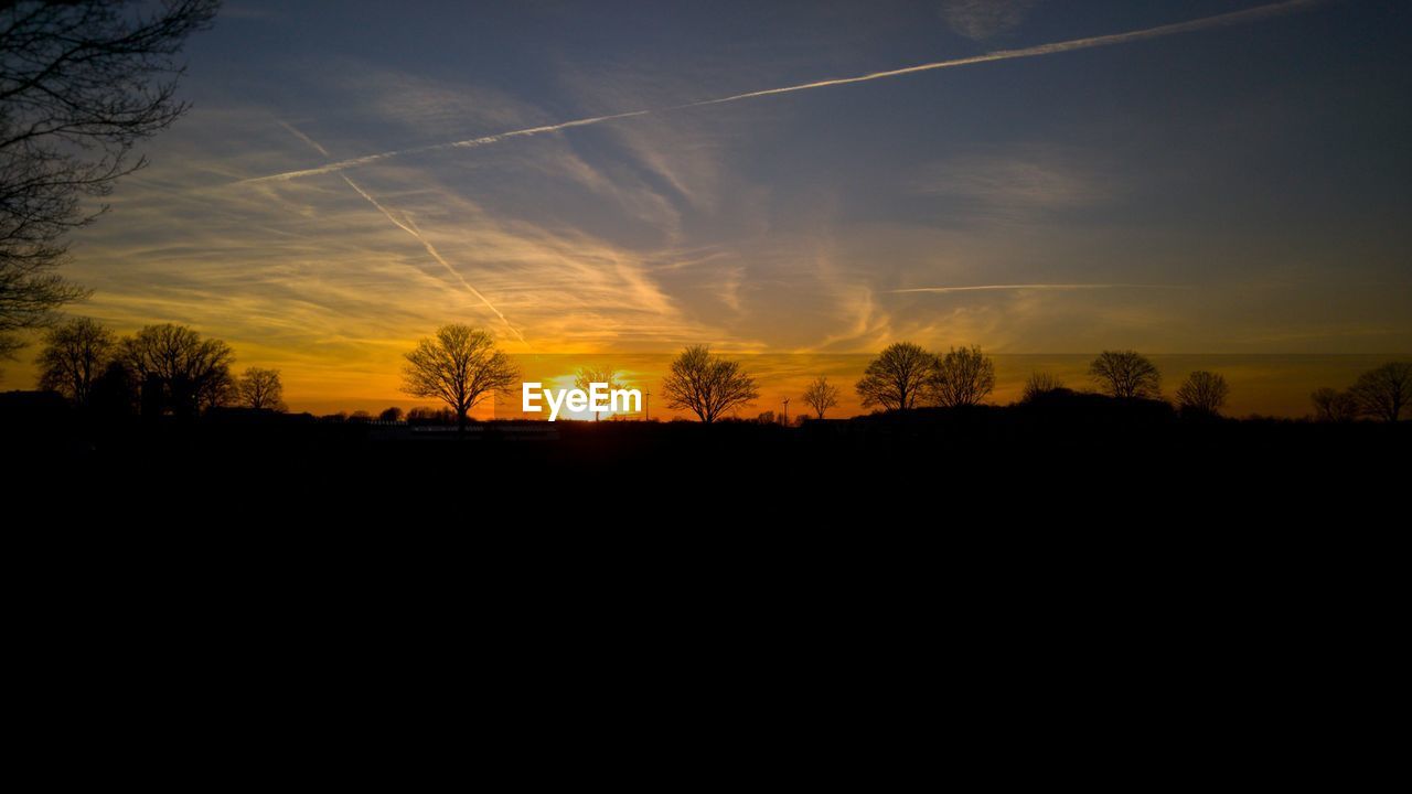 Silhouette trees against sky during sunset