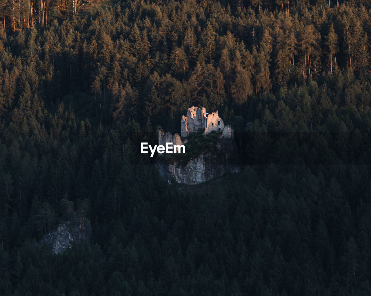 High angle view of trees and old castle in forest