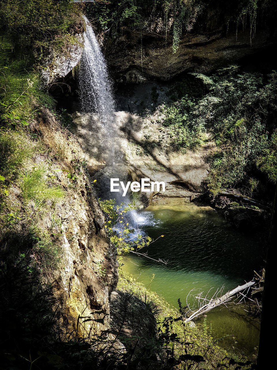 Scenic view of waterfall in forest