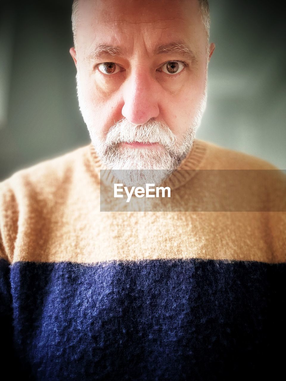facial hair, portrait, adult, one person, men, beard, human hair, looking at camera, mature adult, close-up, indoors, human face, front view, person, hairstyle, serious, gray hair, headshot, lifestyles, clothing, emotion, sweater, nose, senior adult, studio shot, skin