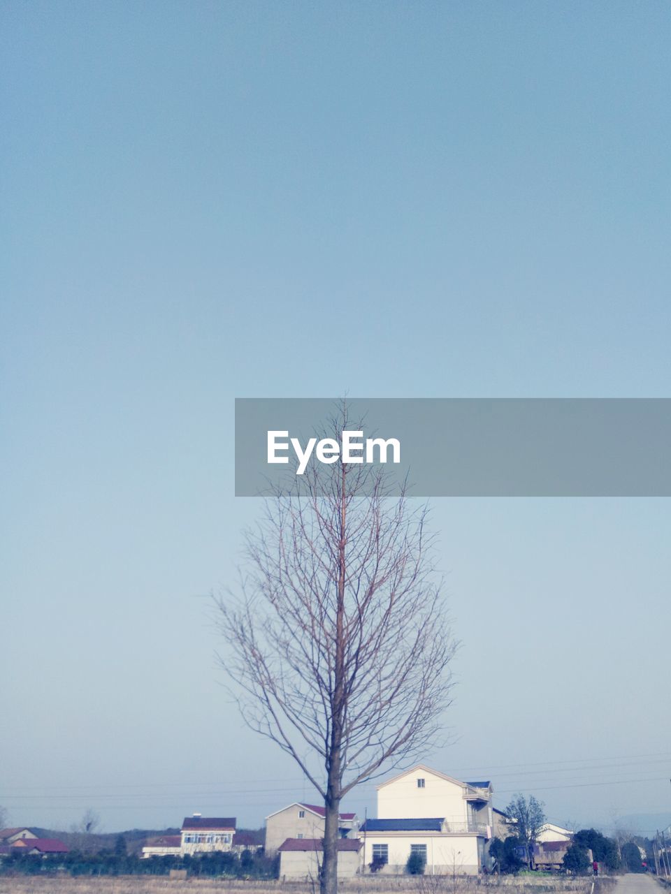 BARE TREES AGAINST SKY DURING WINTER