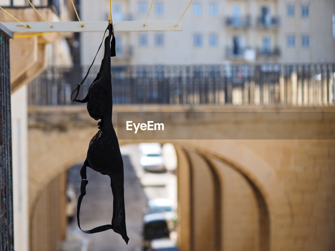 Close-up of black bra hanging on clothesline