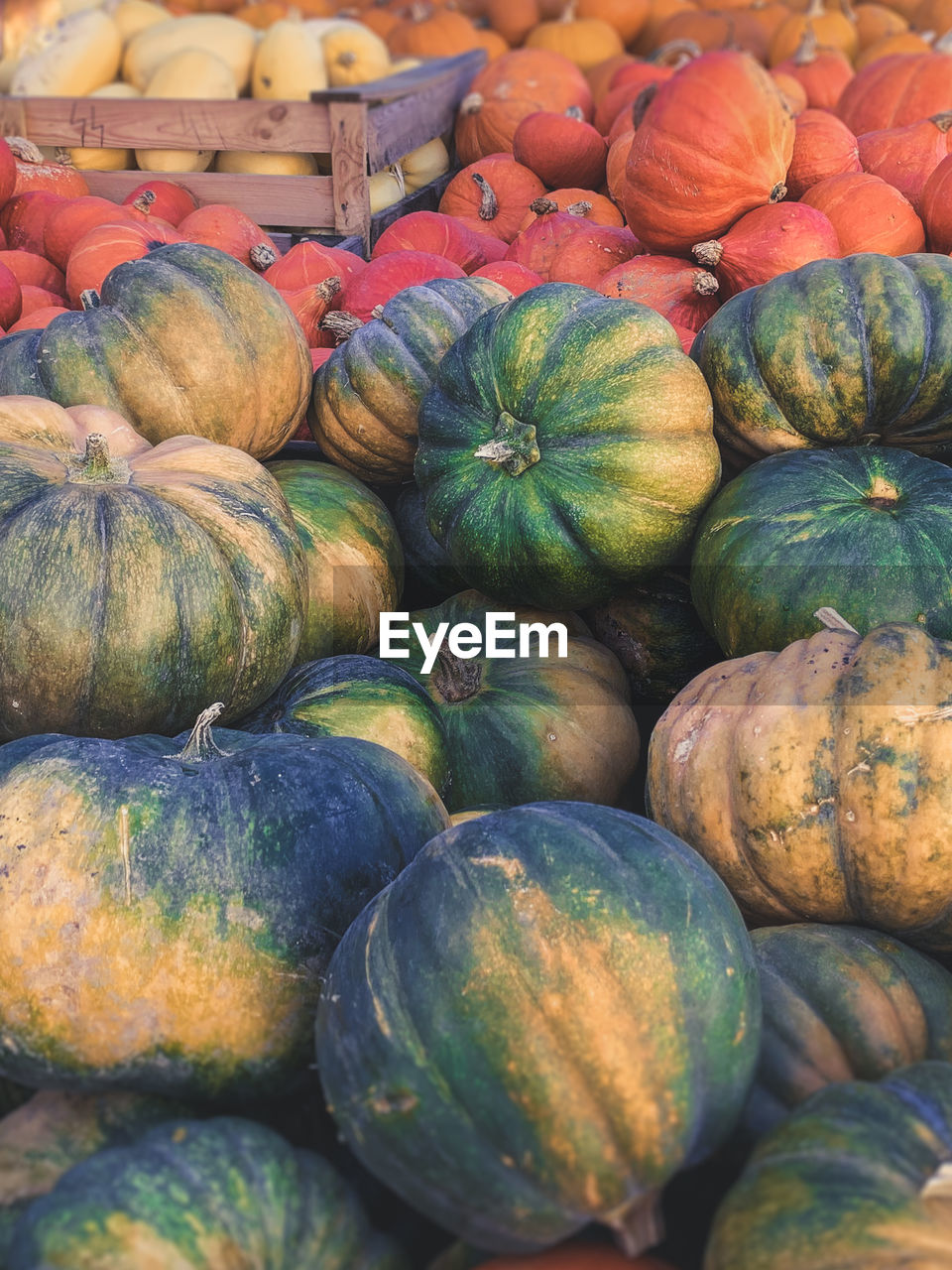 Full frame shot of pumpkins at market stall