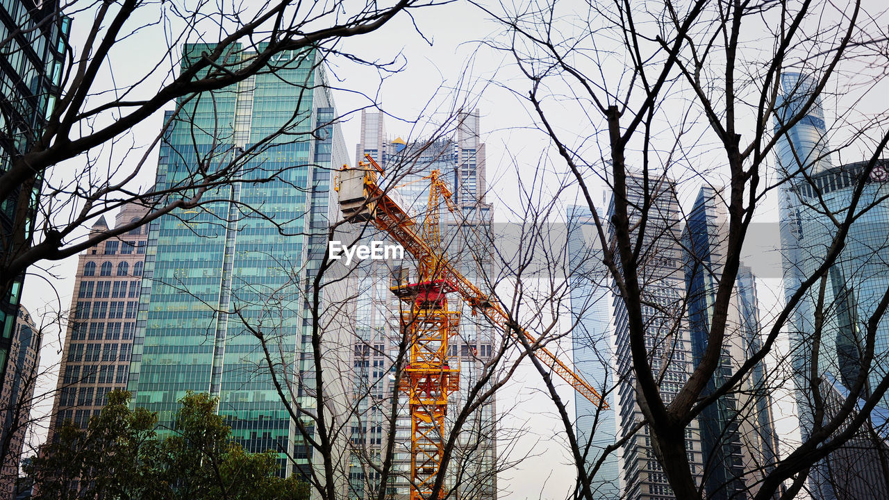 Low angle view of bare trees against modern buildings in city