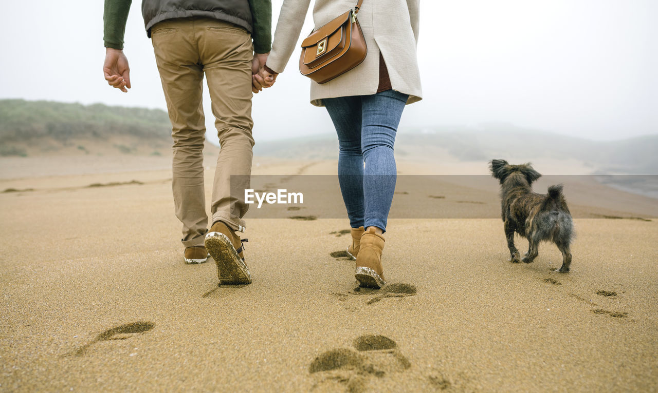 Low section of couple walking on the beach with dog in winter