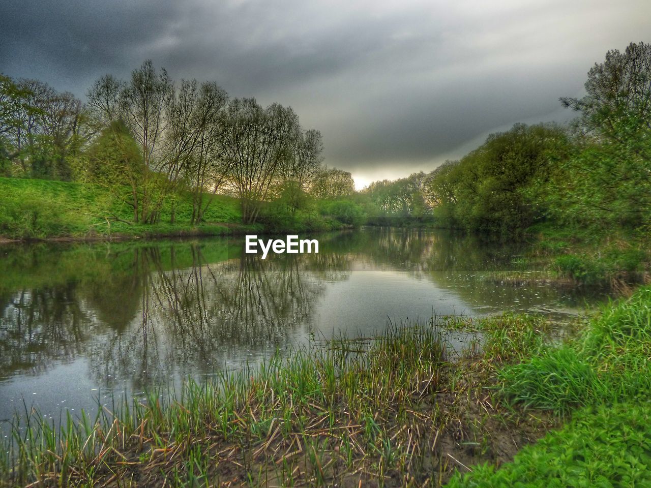 SCENIC VIEW OF LAKE WITH TREES REFLECTION