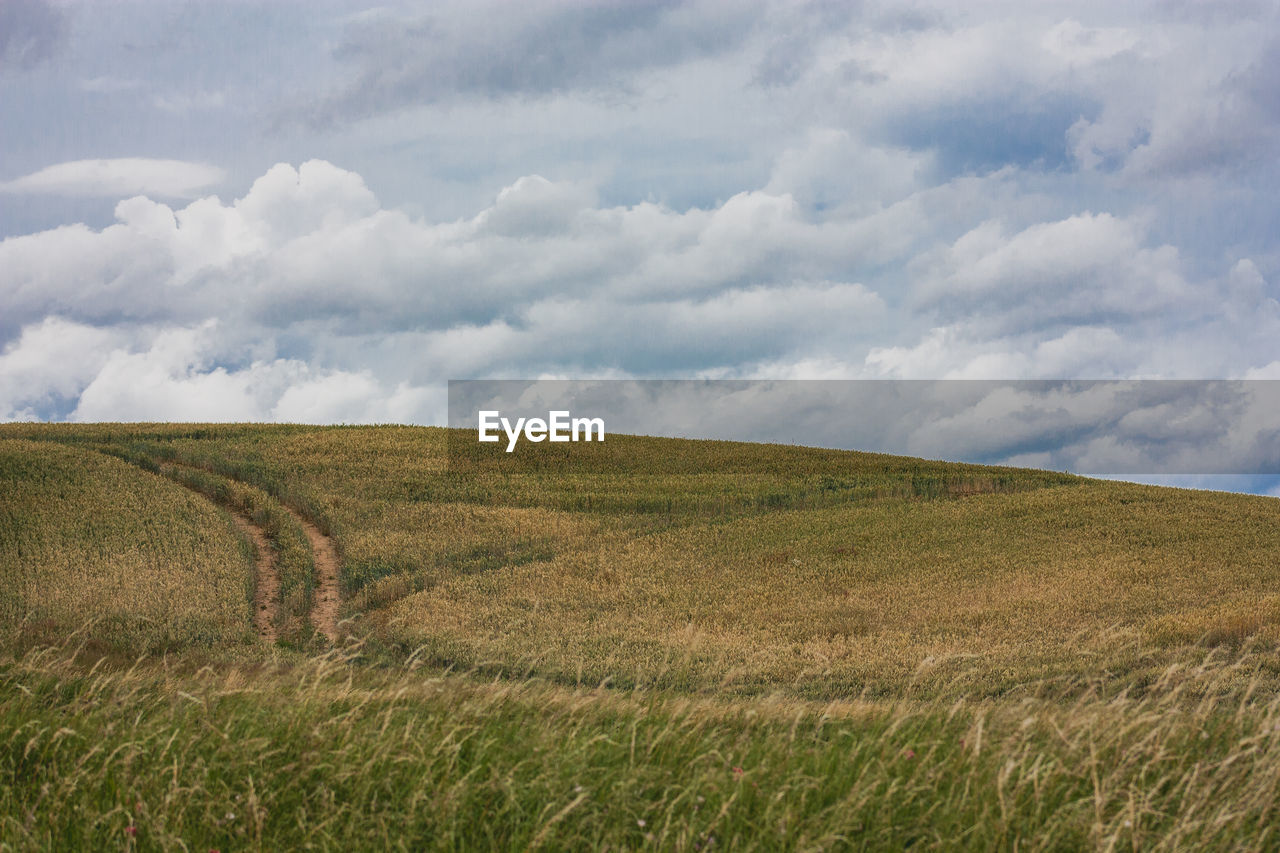 Scenic view of field against sky