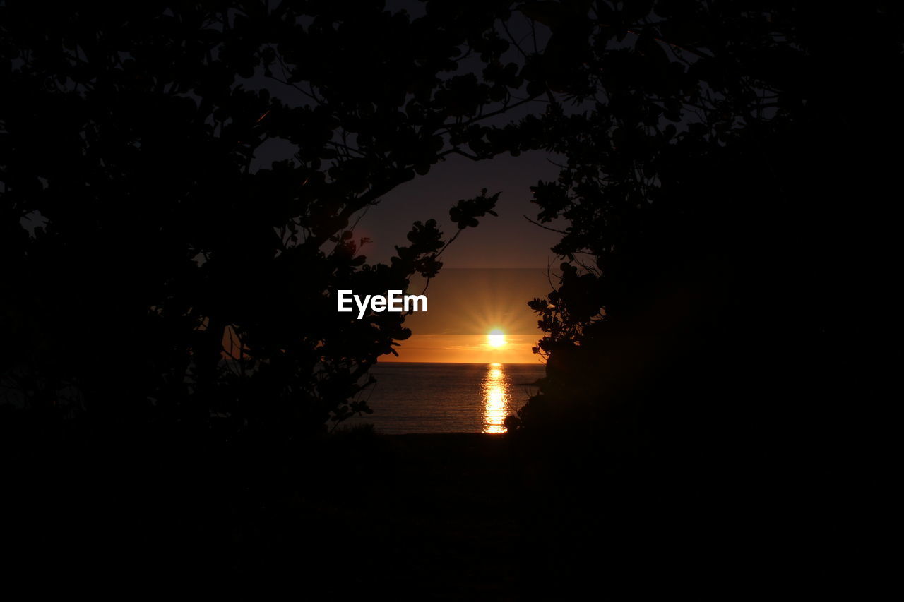 SILHOUETTE TREES BY SEA AGAINST ORANGE SKY