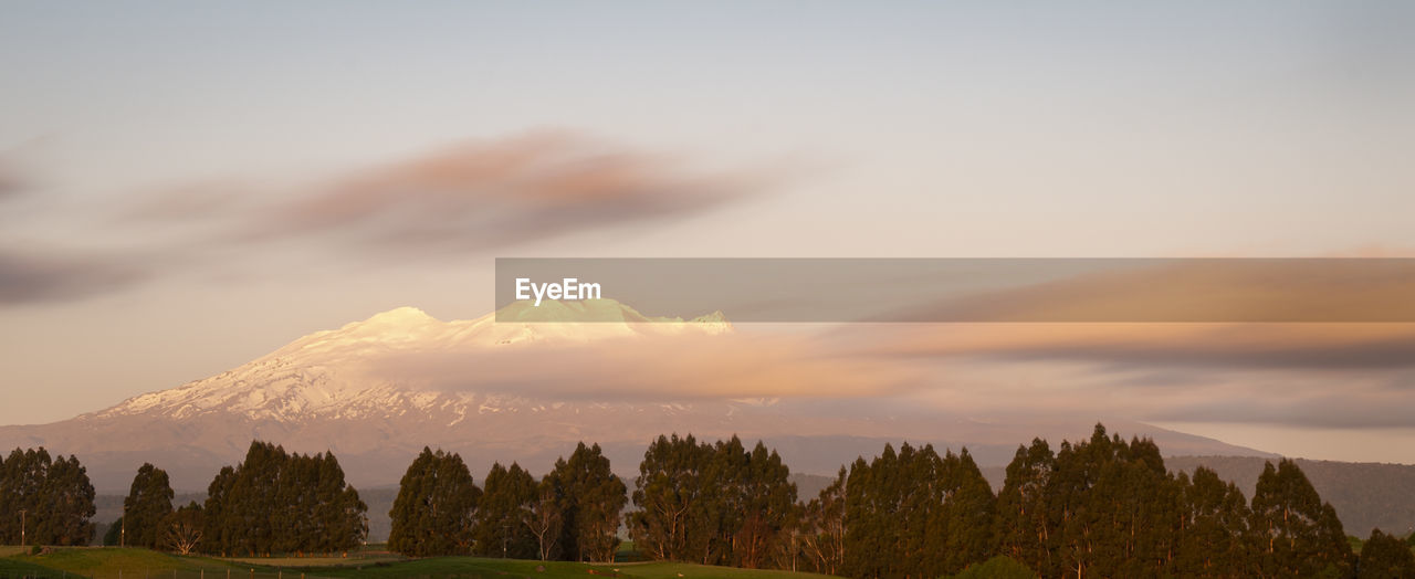 PANORAMIC VIEW OF TREES ON LANDSCAPE AGAINST SKY DURING SUNSET