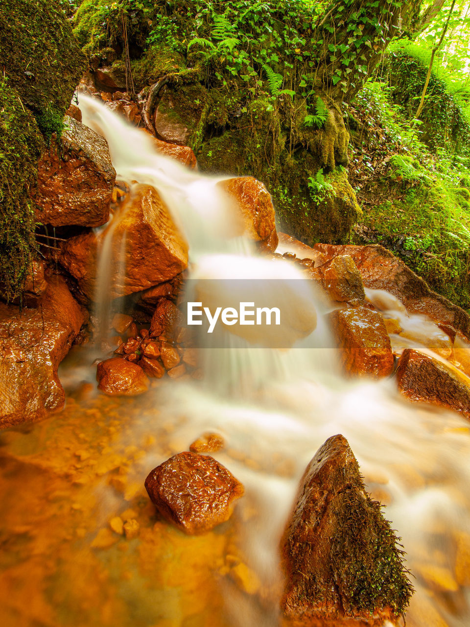 Water flowing through rocks in forest, ferric sediments mud