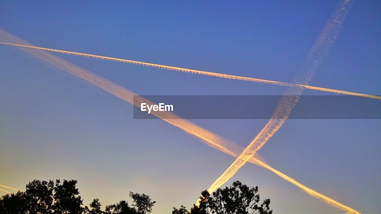 LOW ANGLE VIEW OF TREES AGAINST CLEAR SKY