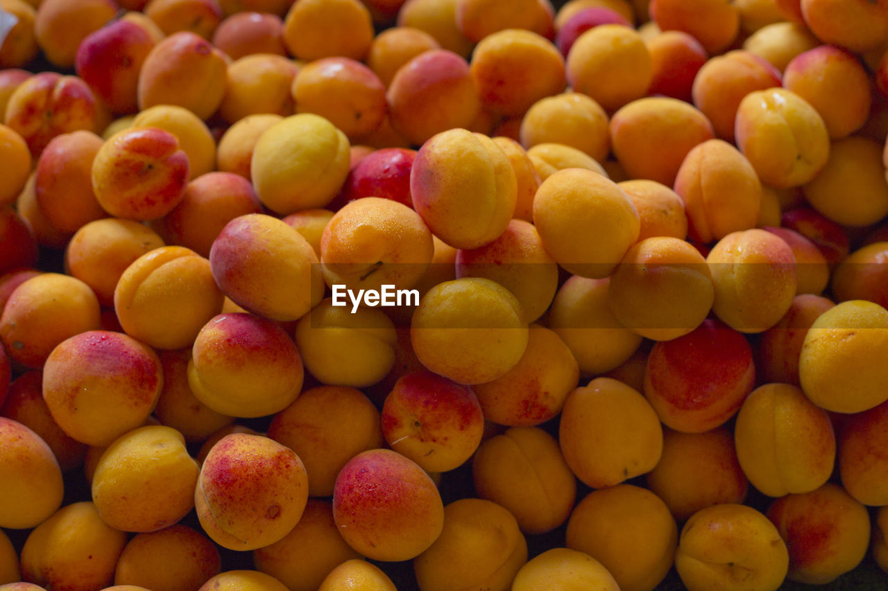 Full frame shot of apricots