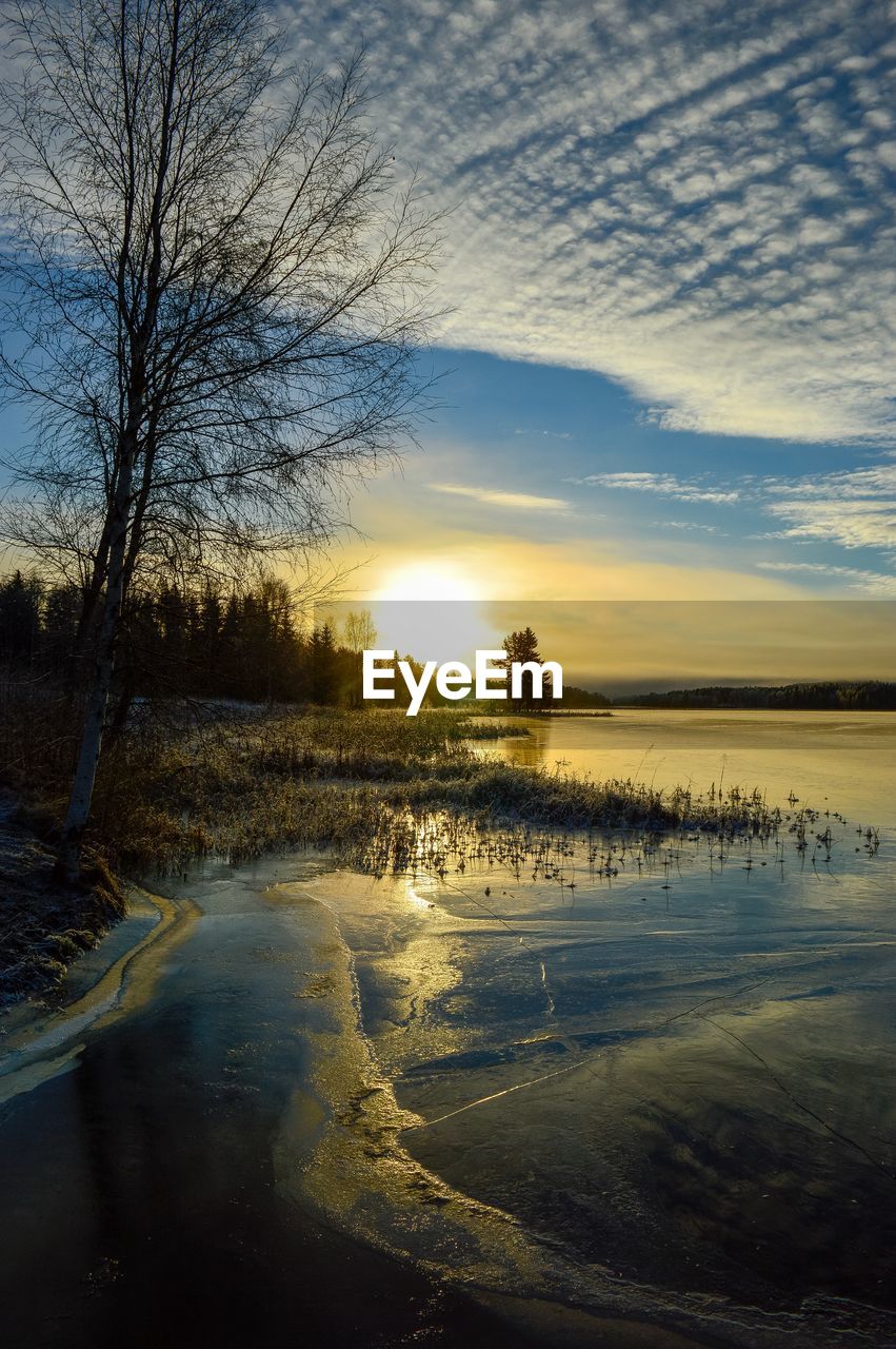 Calm lake along trees at sunset