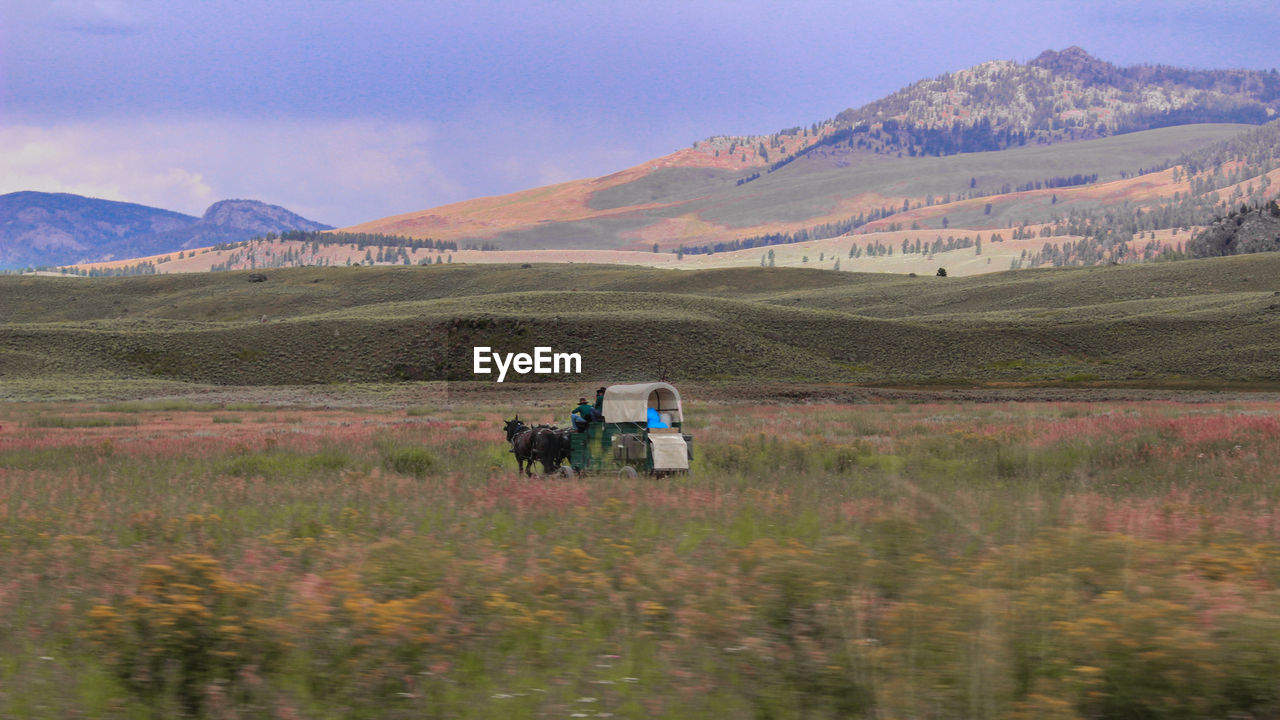 Horse cart on field by mountains against cloudy sky during sunset