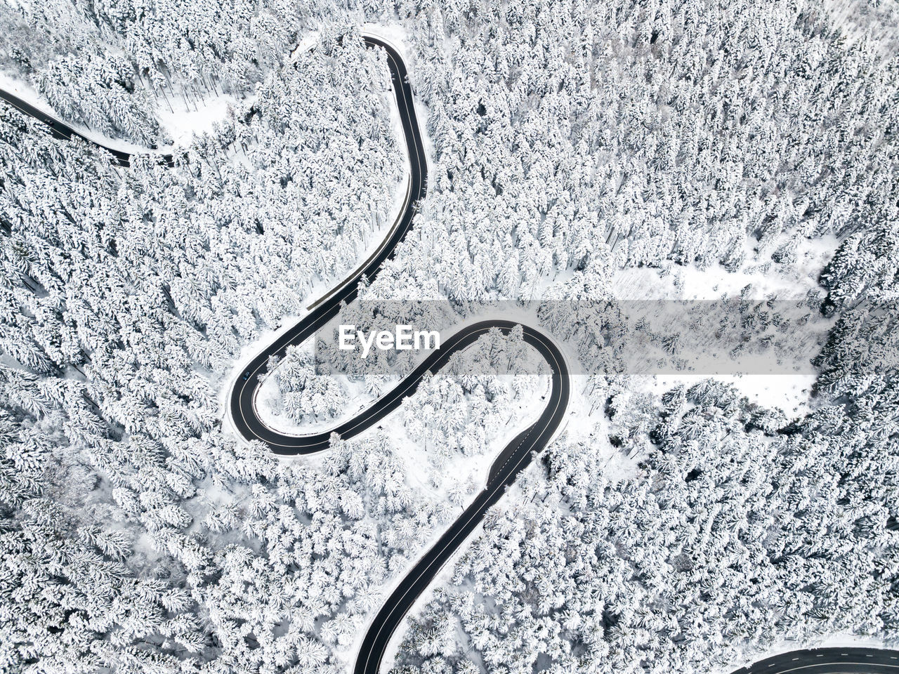 Aerial view of winding road in high mountain pass trough pine woods snowed