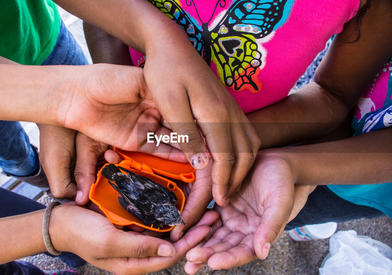 Midsection of children with young bird