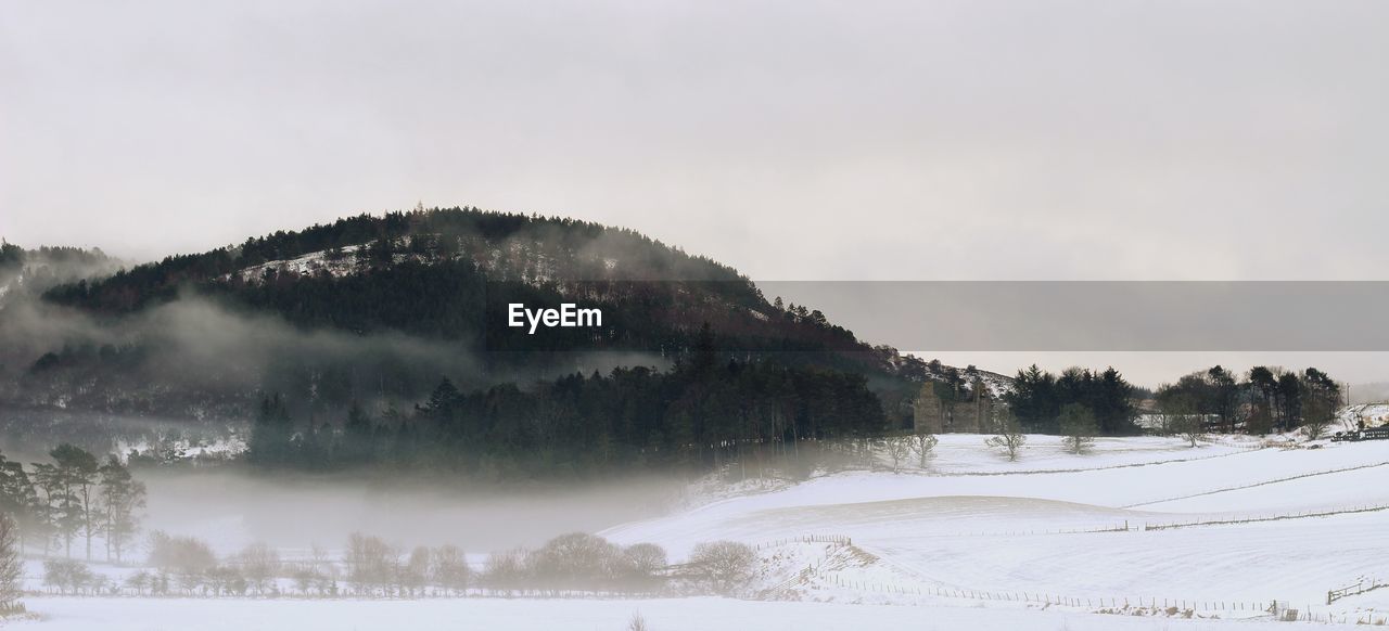 PANORAMIC SHOT OF TREES ON LANDSCAPE AGAINST SKY