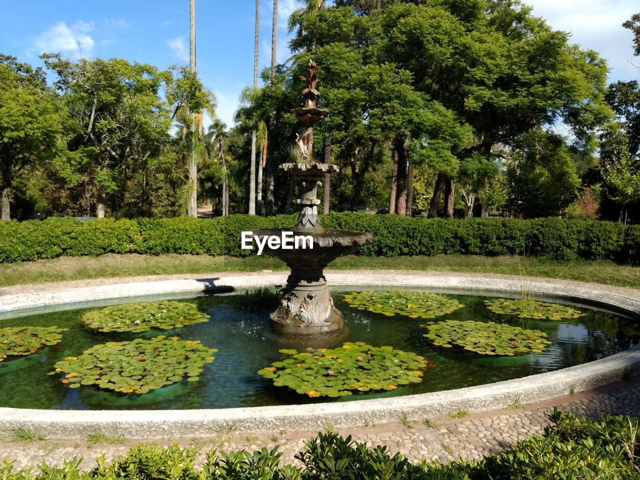 STATUE BY FOUNTAIN IN PARK