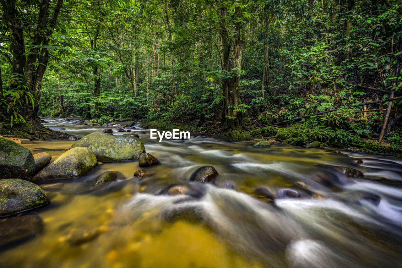 Water flowing through rocks in forest in sg. congkak, hulu langat, selangor, malaysia