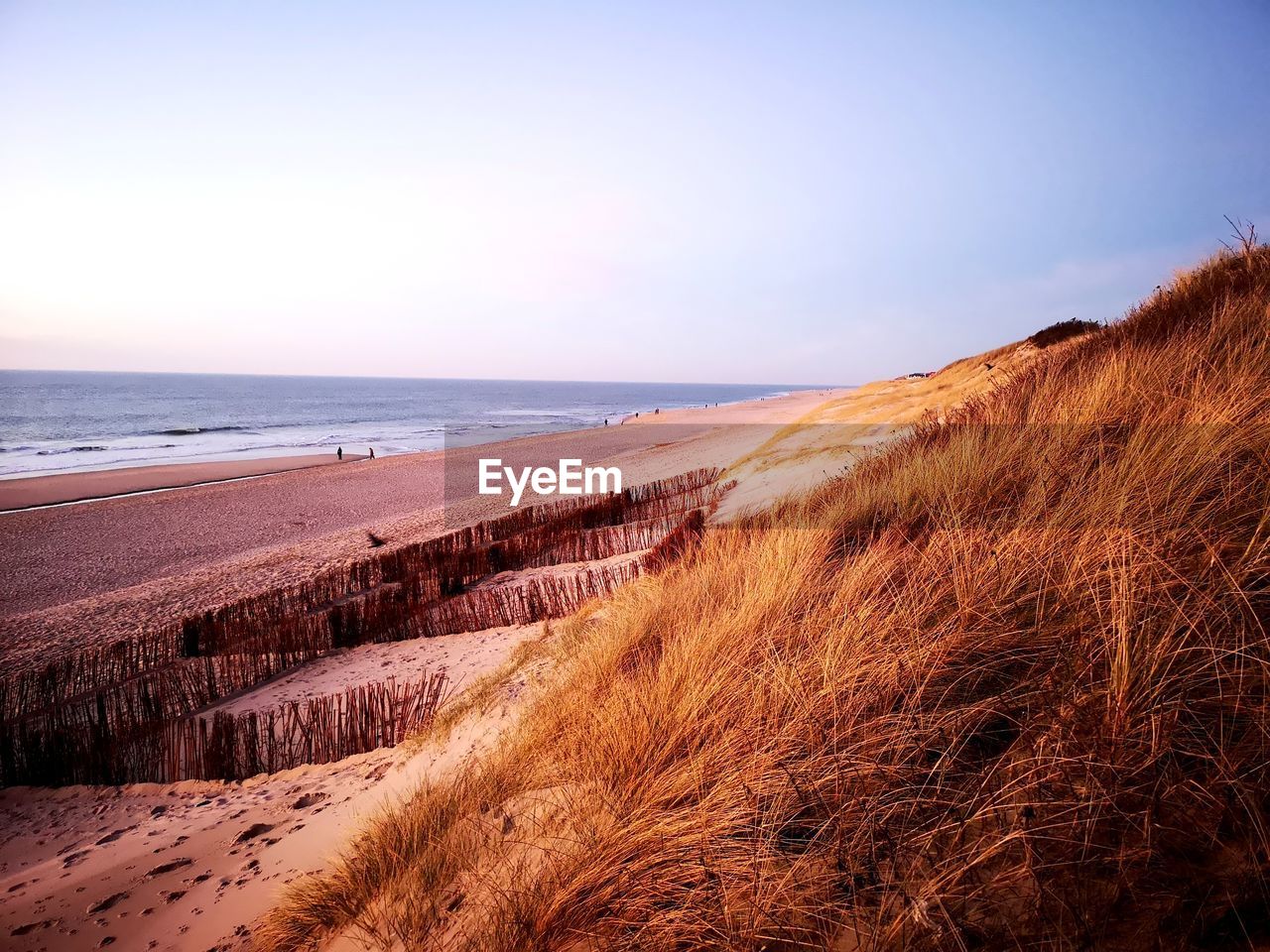 Scenic view of beach against clear sky