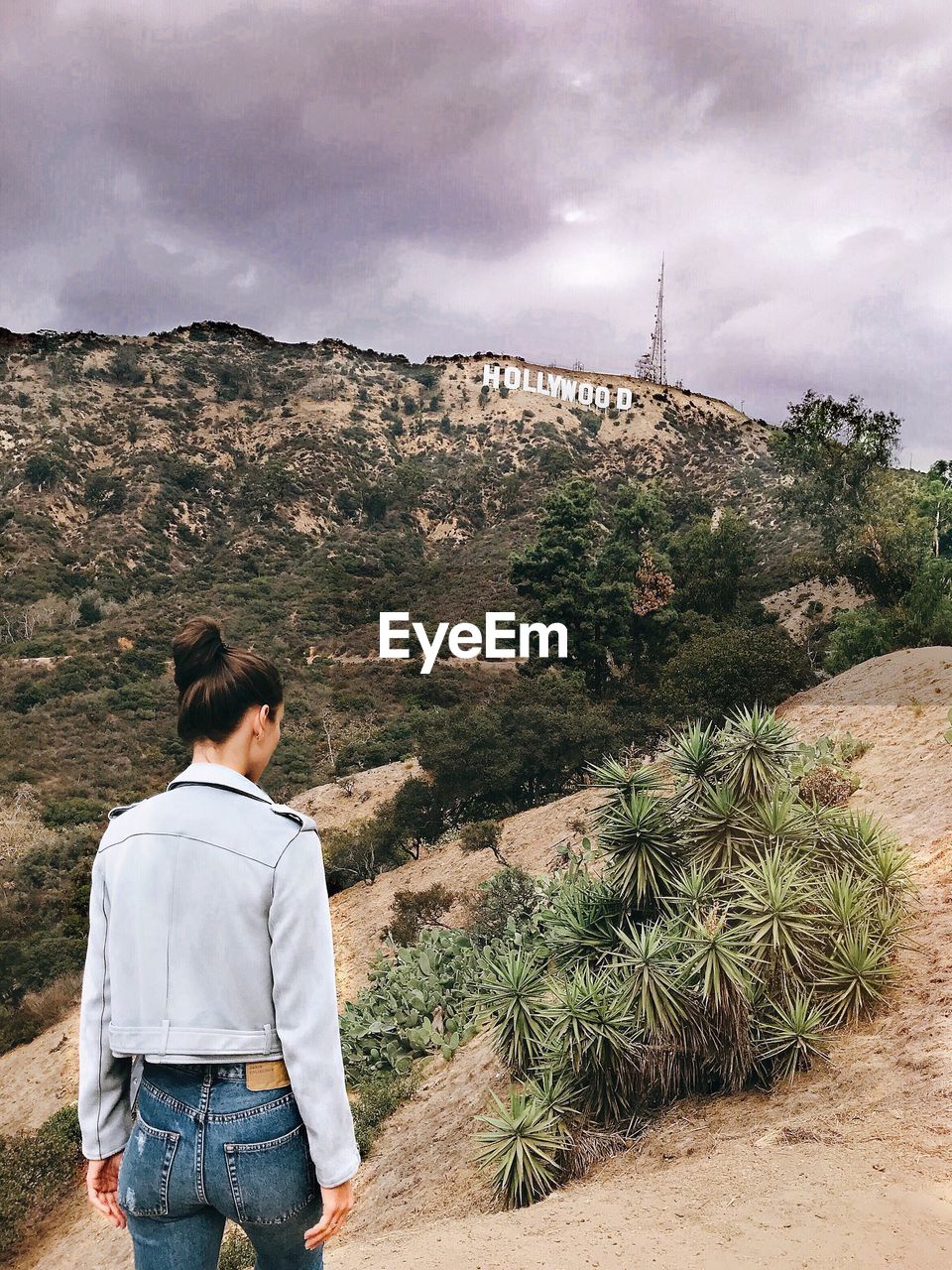 Hollywood sign