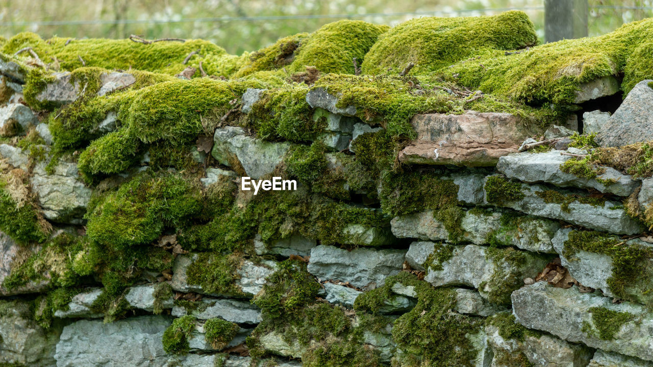 Full frame shot of stone wall