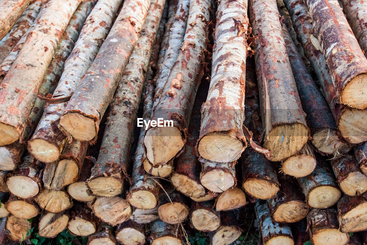 large group of objects, timber, log, firewood, lumber industry, abundance, deforestation, wood, logging, forest, tree, backgrounds, environmental issues, full frame, no people, fossil fuel, power generation, lumber, food, day, trunk, arrangement, outdoors, nature, close-up, brown, produce, environmental damage, woodpile, heap, repetition