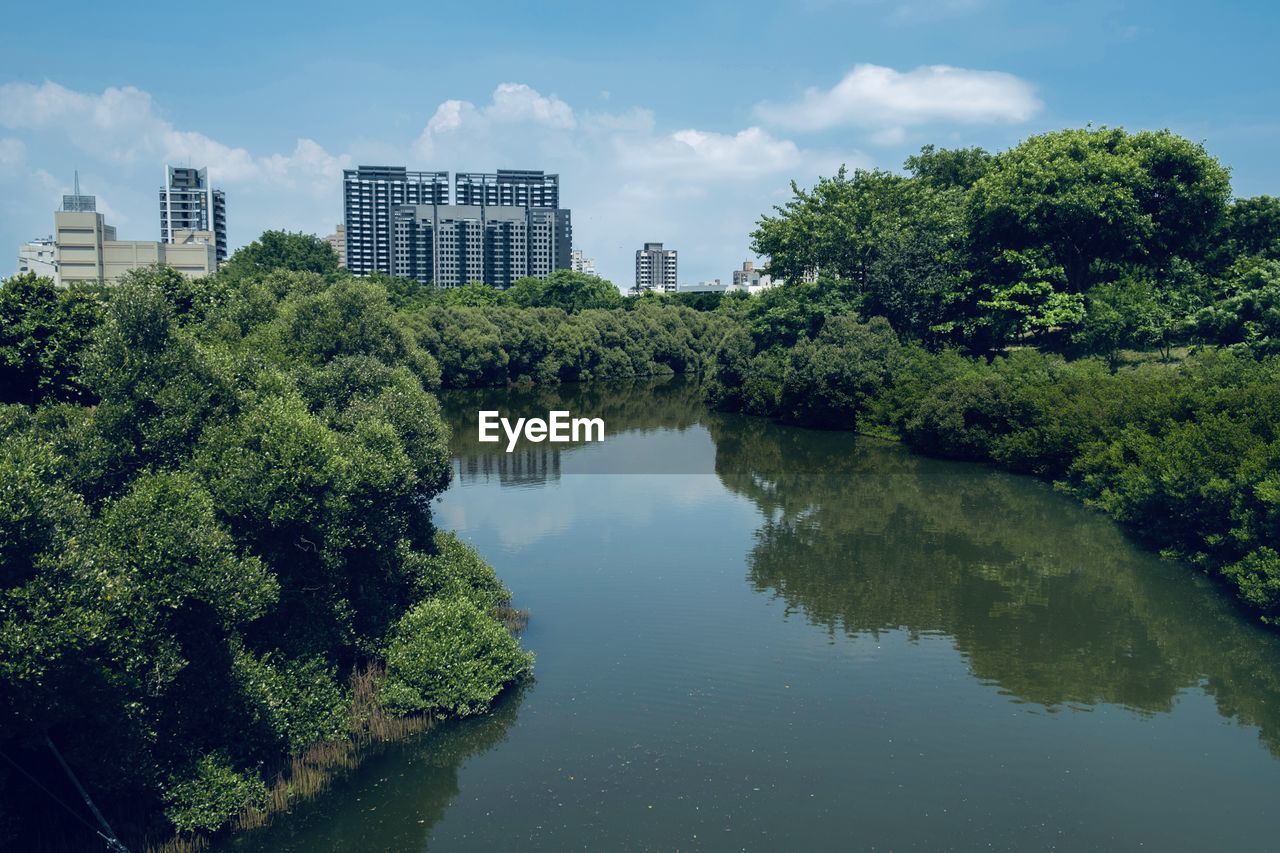 Reflection of trees in lake against sky in city