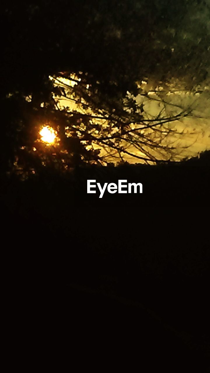 SILHOUETTE TREE AGAINST SKY AT SUNSET