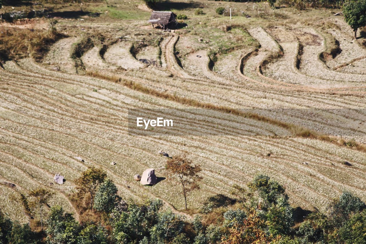 HIGH ANGLE VIEW OF FARM