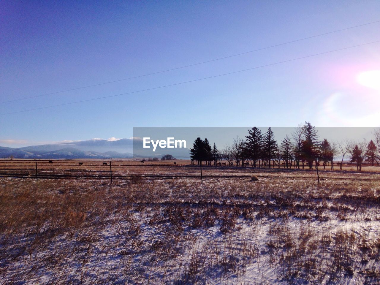 Scenic view of landscape against sky during winter