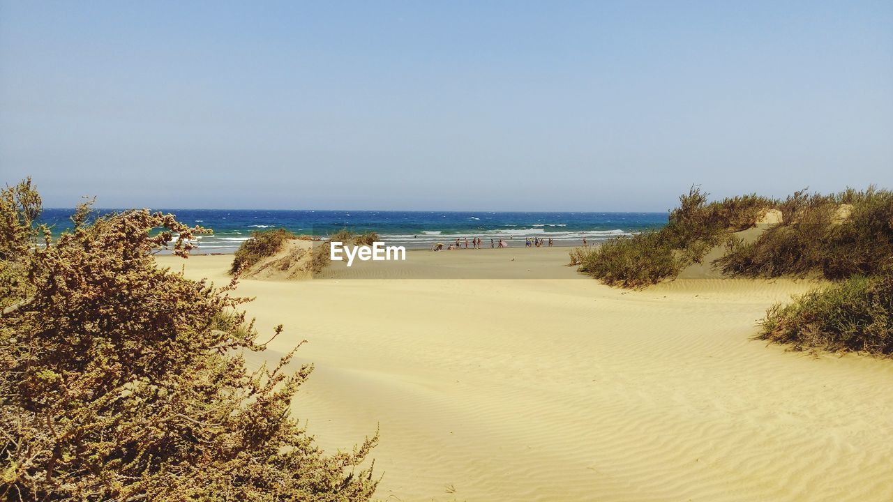 View of sandy beach against sky