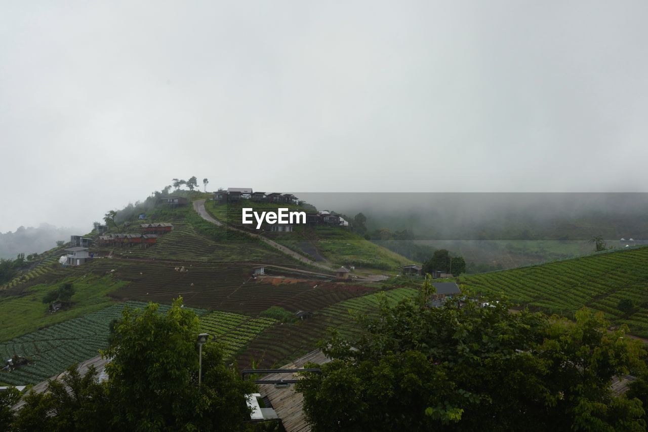 Scenic view of agricultural landscape against sky