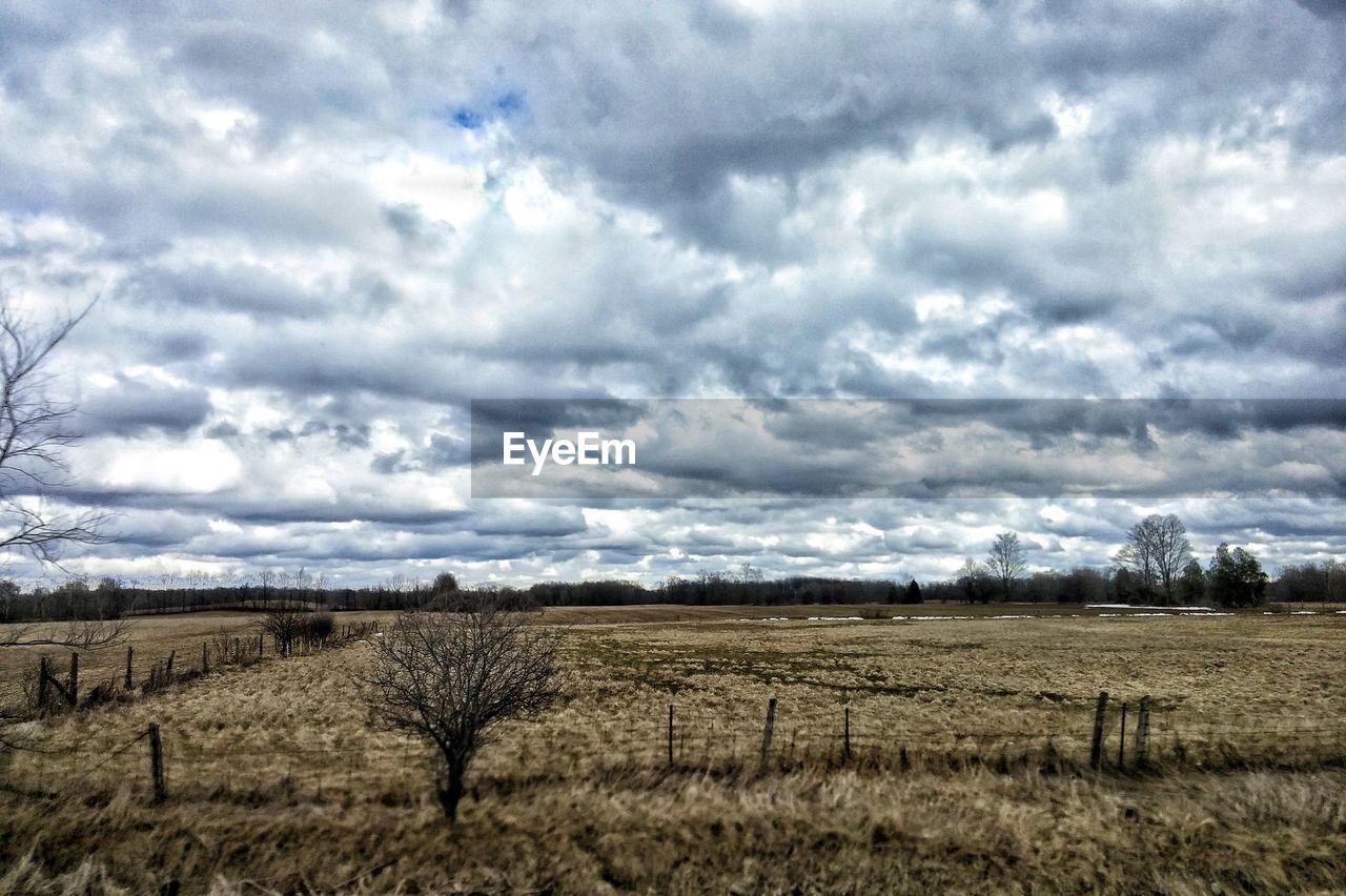 AGRICULTURAL FIELD AGAINST SKY