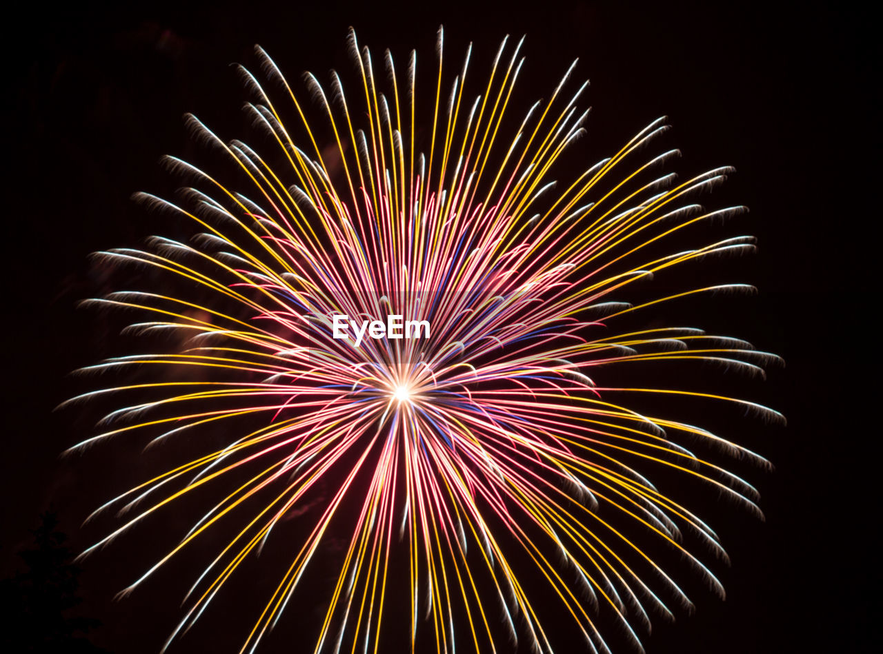 Low angle view of firework display at night