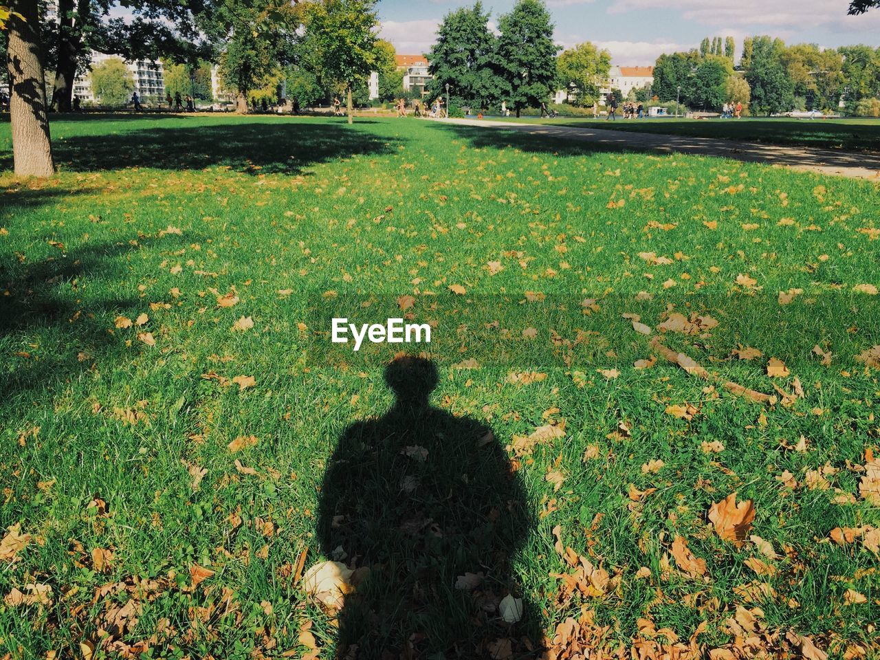 Shadow of person on grass at park