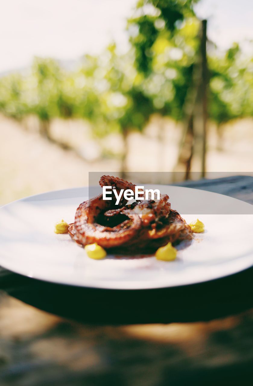 CLOSE-UP OF FOOD SERVED ON PLATE