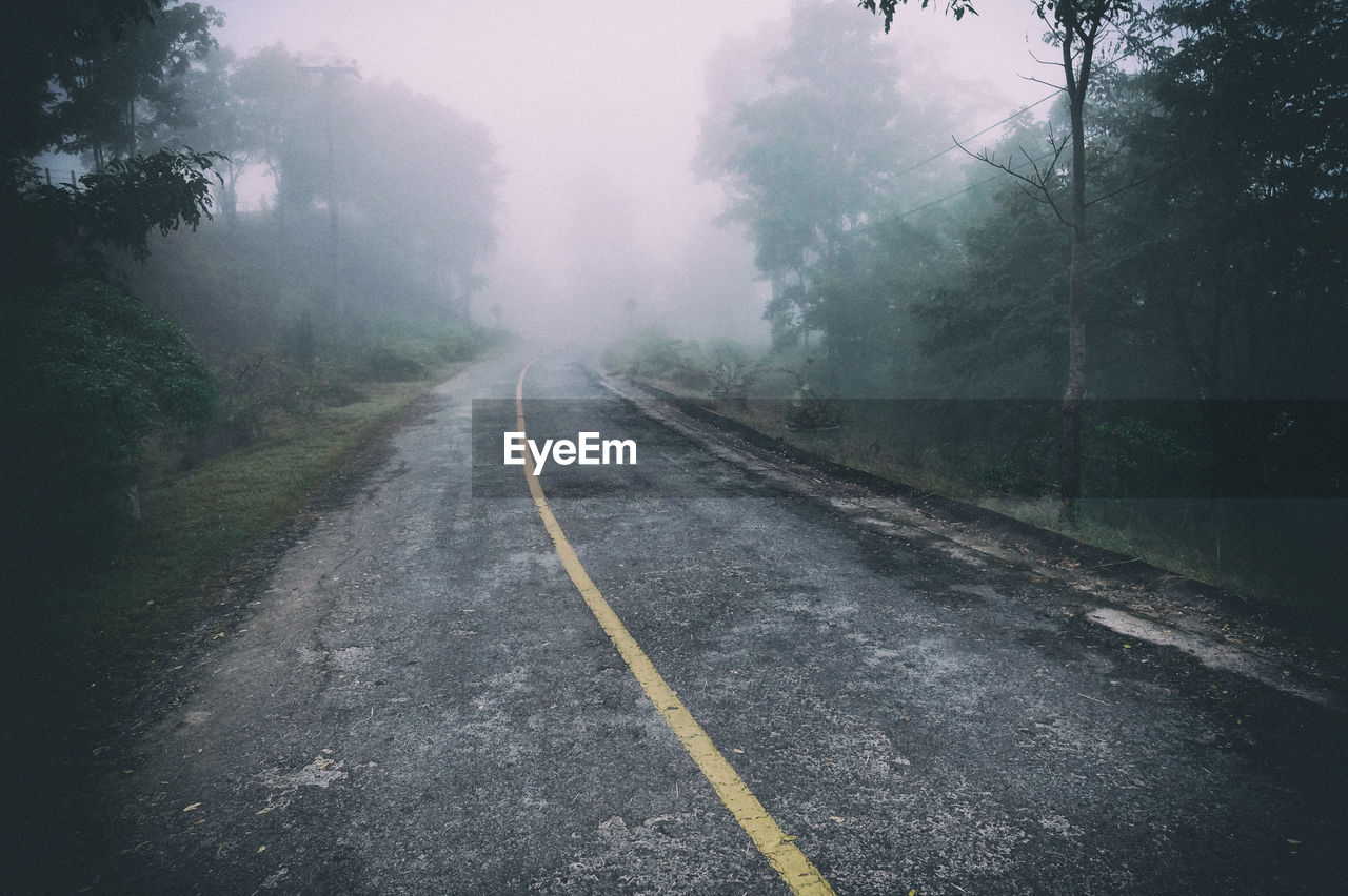 Empty road amidst trees during foggy weather